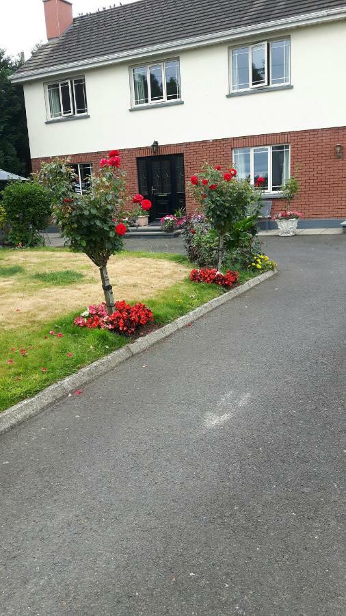 Scapaflow B&B O'Briensbridge Exterior foto
